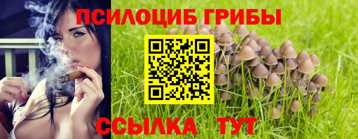 Тавда  Псилоцибиновые грибы MAGIC MUSHROOMS  Вход с VPN 